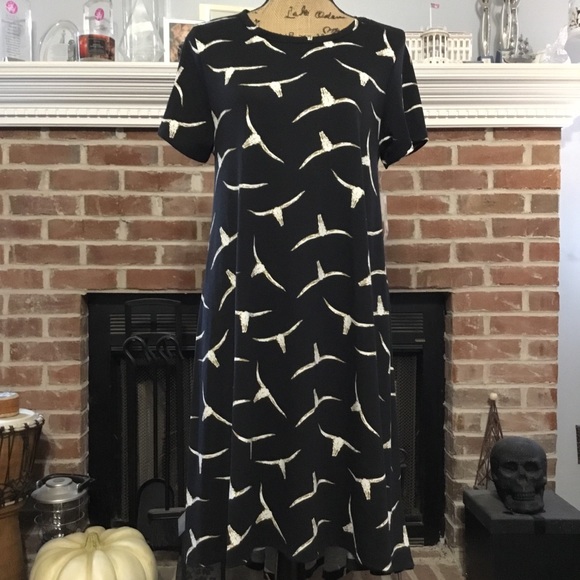 LuLaRoe Dresses & Skirts - LuLaRoe Bullhorn Carly Dress
